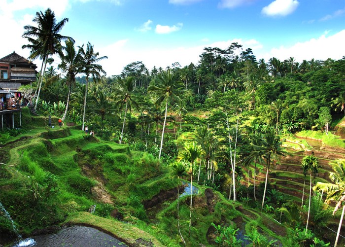 Bali cliff resort booking